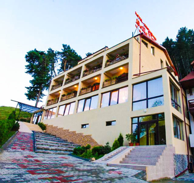 Hotel Bellavista Brasov à Săcele Extérieur photo