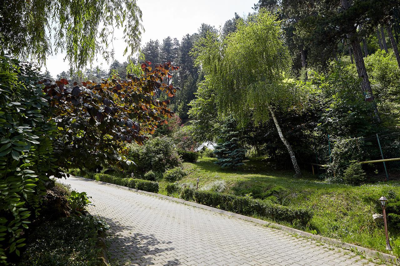 Hotel Bellavista Brasov à Săcele Extérieur photo